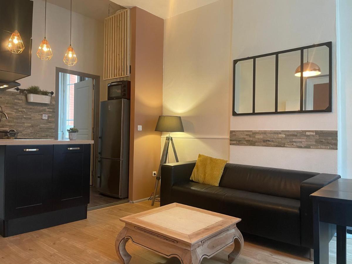 Appartement Cosy En Hyper Centre Toulouse Buitenkant foto